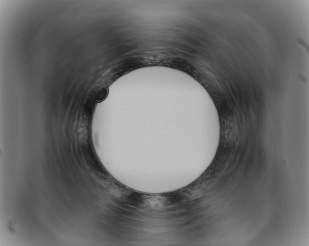 X0000097460226200803141858