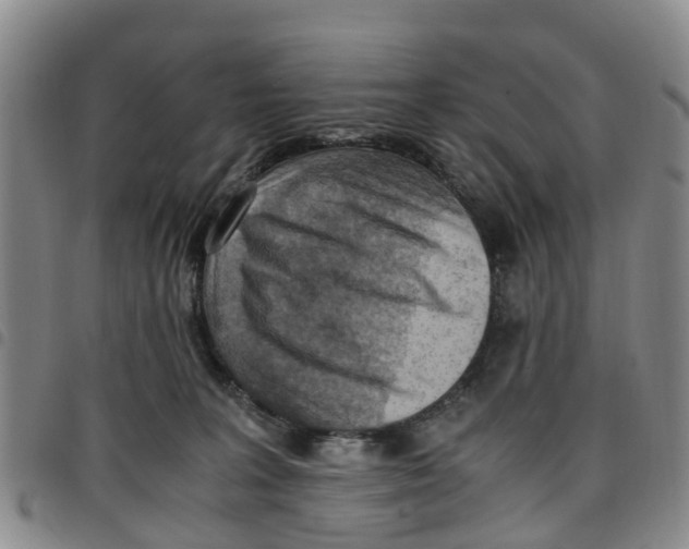 X0000097460227200803141858