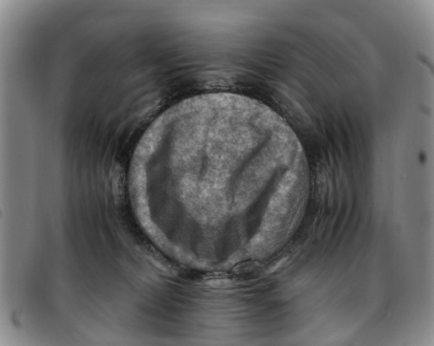 X0000097460228200803141858