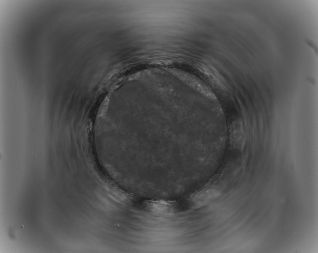 X0000097460229200803141858