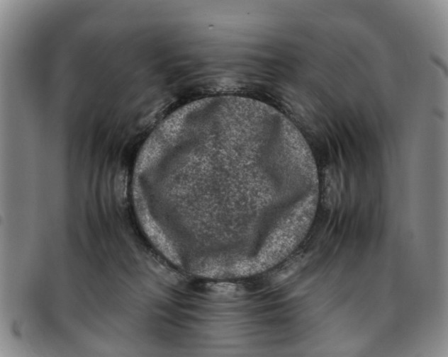 X0000097460230200803141858