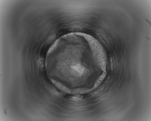 X0000097460232200803141858