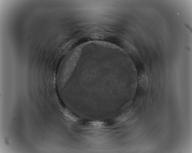 X0000097460233200803141858