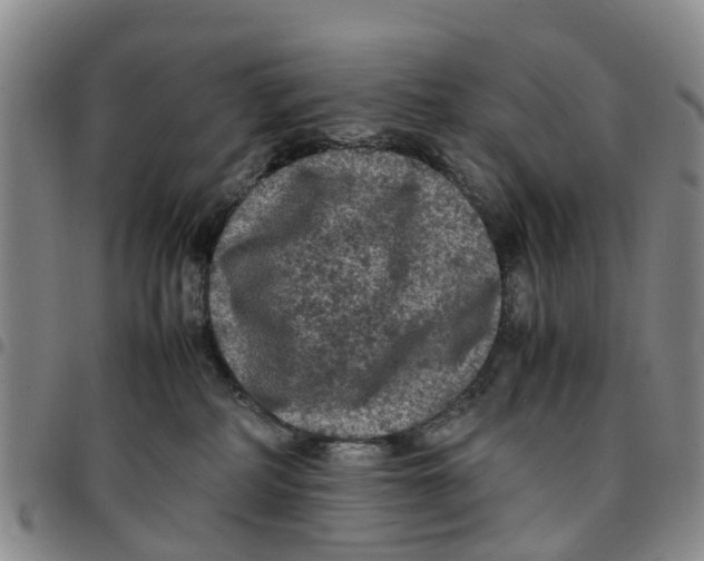 X0000097460234200803141858