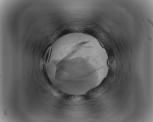 X0000097460235200803141858