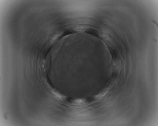 X0000097460237200803141858