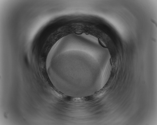 X0000097460239200803141858