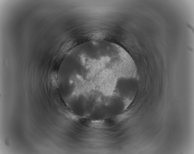 X0000097460240200803141858