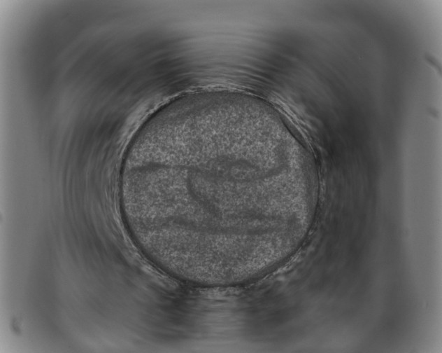 X0000097460241200803141858