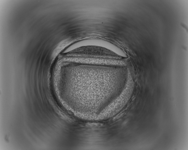 X0000097460242200803141858