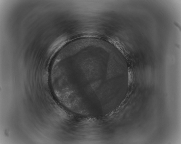 X0000097460243200803141858