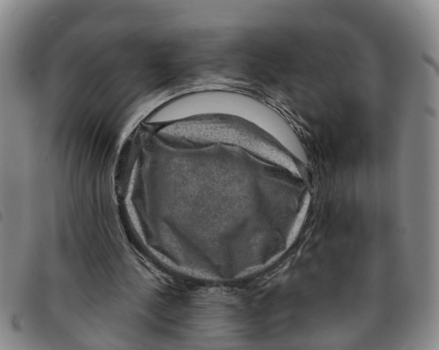 X0000097460244200803141858