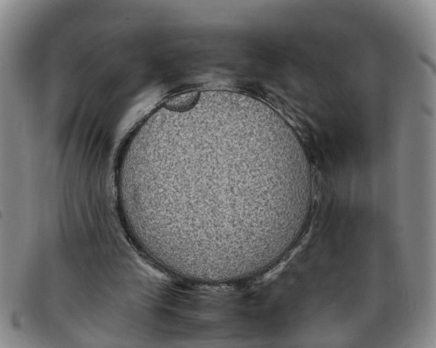 X0000097460245200803141858