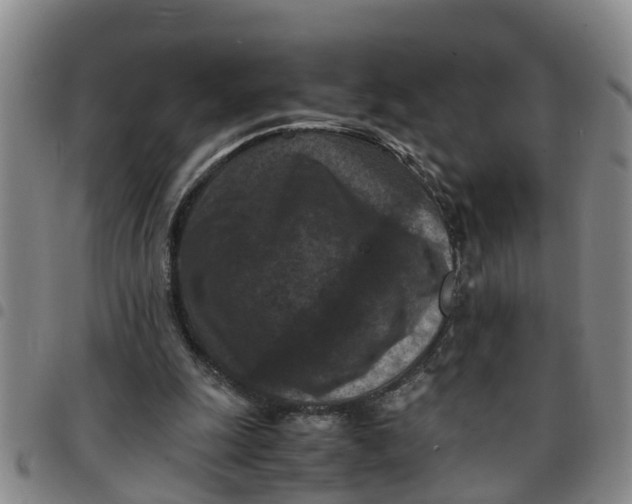 X0000097460247200803141858