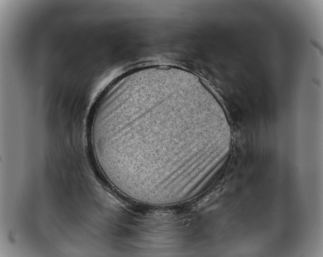 X0000097460248200803141858