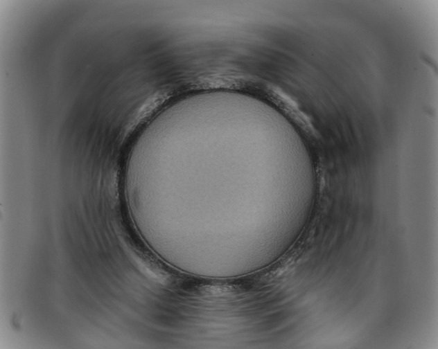 X0000097460250200803141858