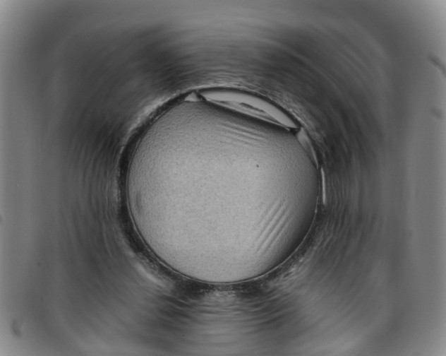 X0000097460252200803141858