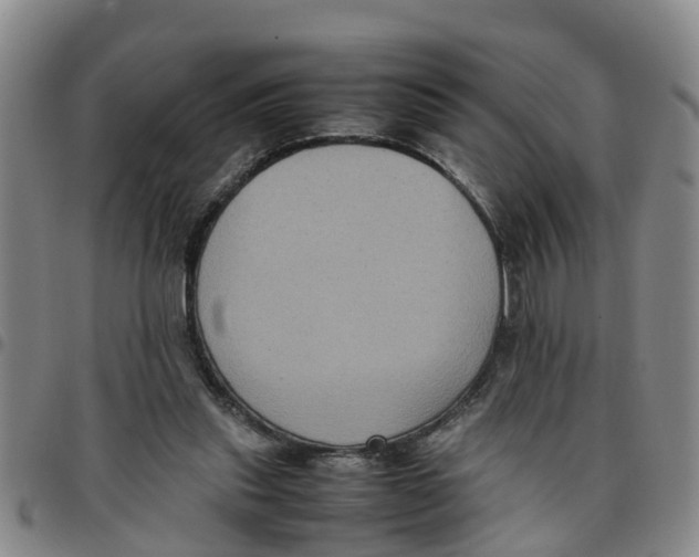 X0000097460253200803141858