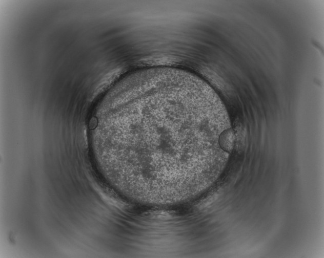 X0000097460254200803141858