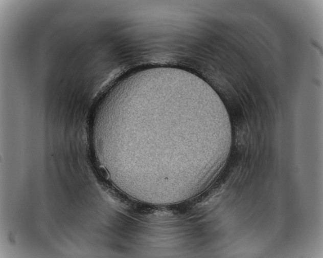 X0000097460256200803141858