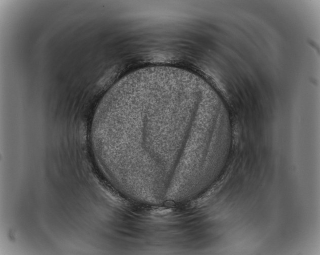 X0000097460257200803141858