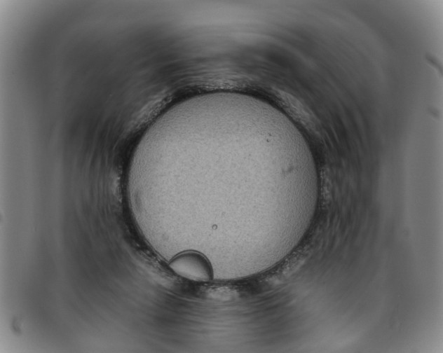 X0000097460258200803141858