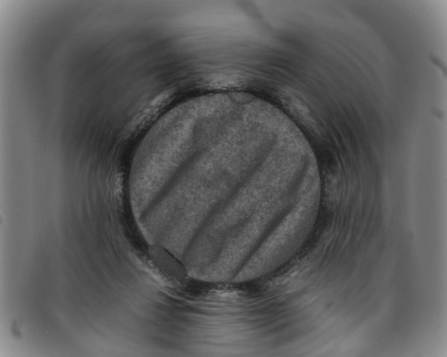 X0000097460260200803141858