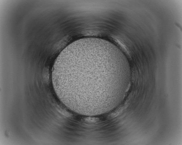 X0000097460261200803141858