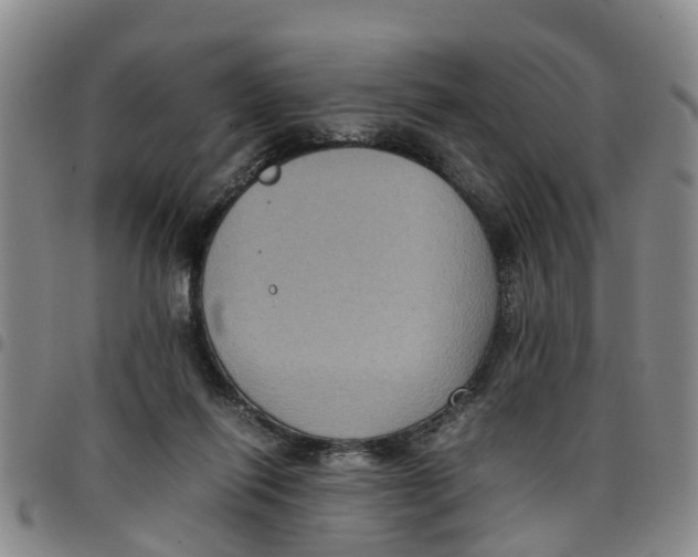 X0000097460262200803141858