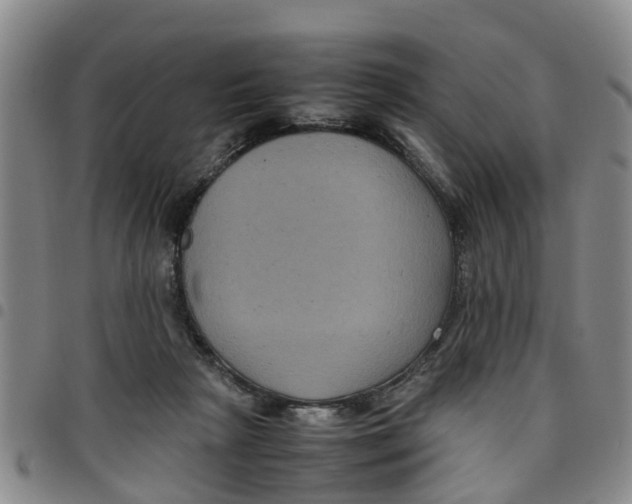 X0000097460265200803141858