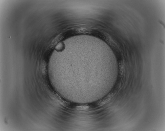 X0000097460266200803141858