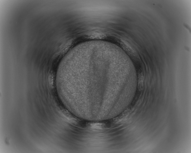 X0000097460268200803141858