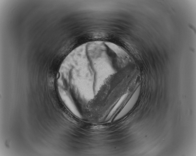 X0000097460269200803141858