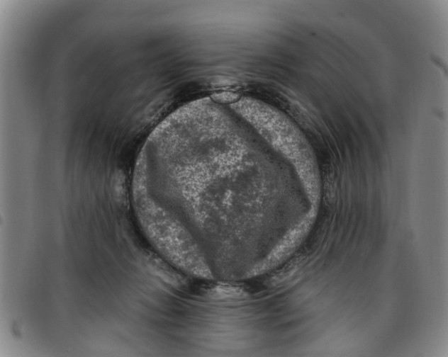 X0000097460270200803141858