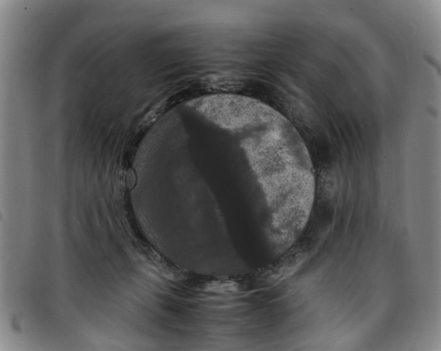 X0000097460271200803141858