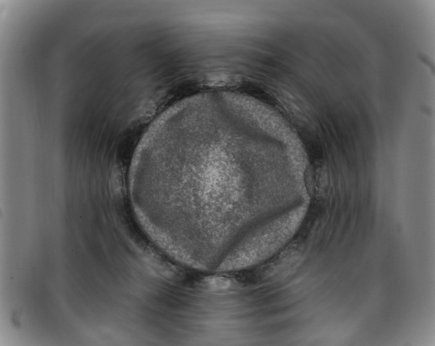 X0000097460272200803141858