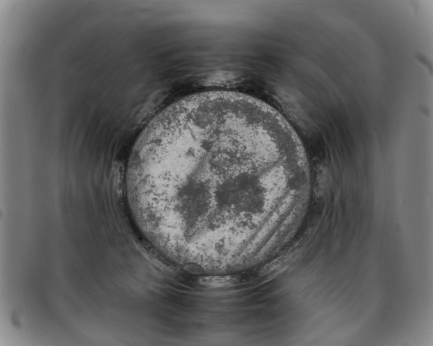 X0000097460273200803141858