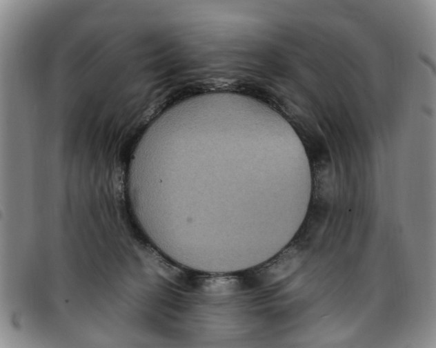 X0000097460274200803141858