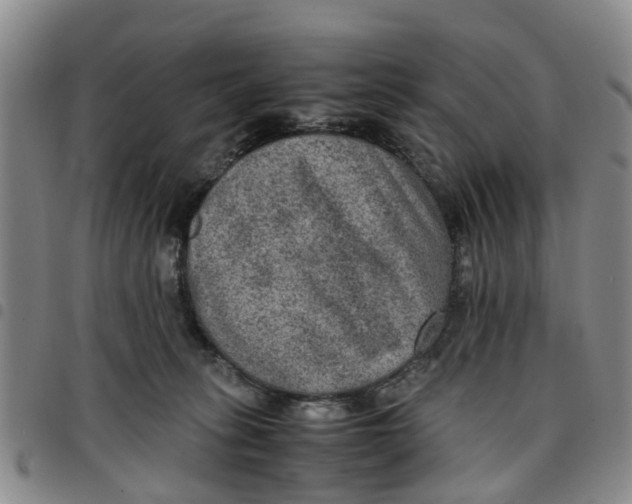 X0000097460275200803141858