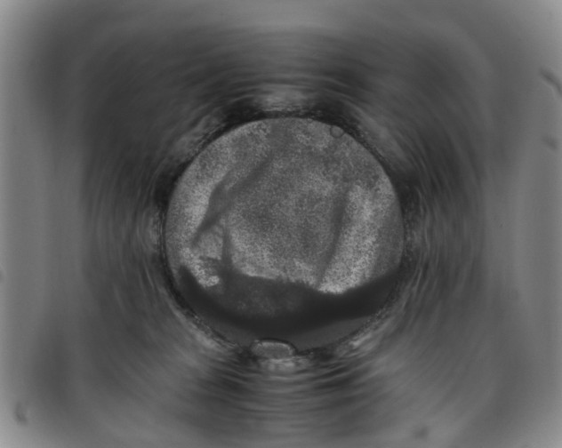 X0000097460277200803141858