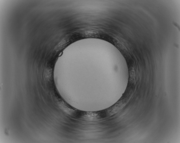 X0000097460278200803141858