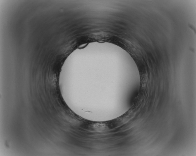 X0000097460279200803141858