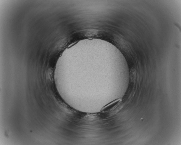 X0000097460280200803141858