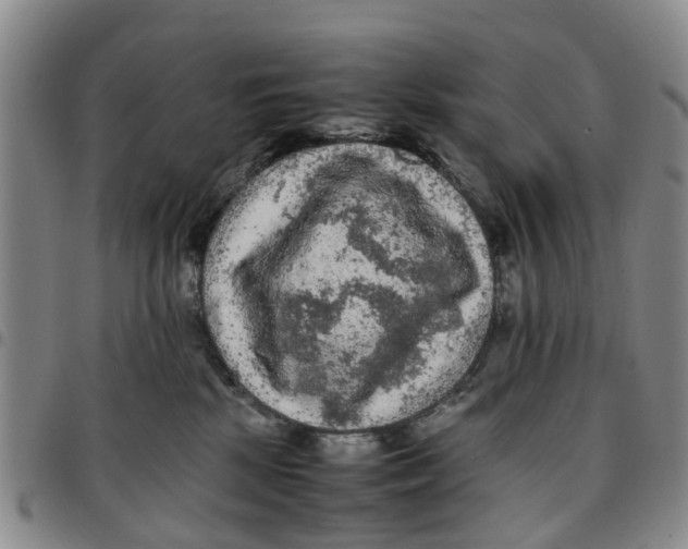 X0000097460281200803141858