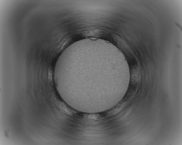 X0000097460282200803141858