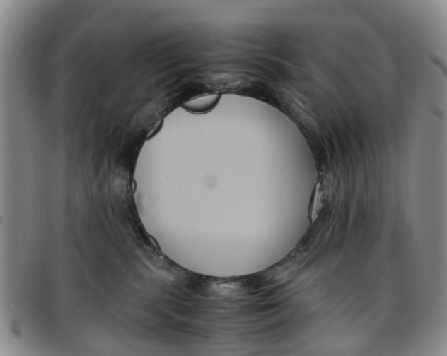 X0000097460283200803141858