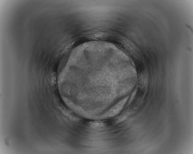 X0000097460284200803141858