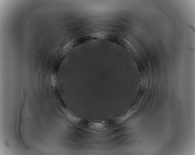 X0000097460285200803141858