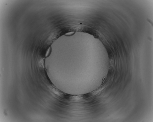 X0000097460286200803141858