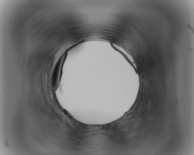 X0000097460289200803141858